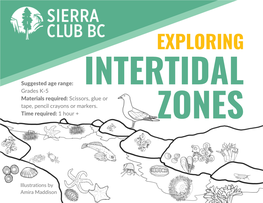 INTERTIDAL ZONES and SPECIES This Activity Will Help You Discover the Variety of Species That Call the Intertidal Zones in B.C