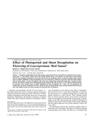 "Effect of Photoperiod and Shoot Decapitation on Flowering Of