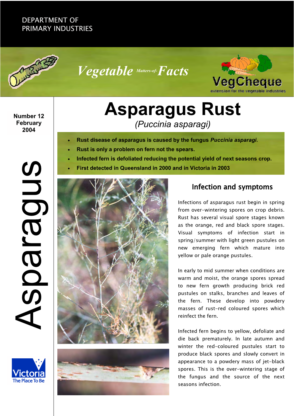 Asparagus Rust (Puccinia Asparagi) (Puccinia Matters-Of- Facts Seasons Infection
