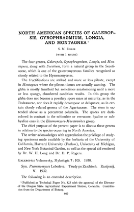 North American Species of Galerop- Sis, Gyrophragmium, Longia, and Montagnea '