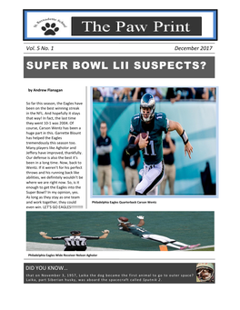 Super Bowl Lii Suspects?