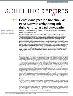 Genetic Analyses in a Bonobo (Pan Paniscus) with Arrhythmogenic Right Ventricular Cardiomyopathy Received: 19 September 2017 Patrícia B