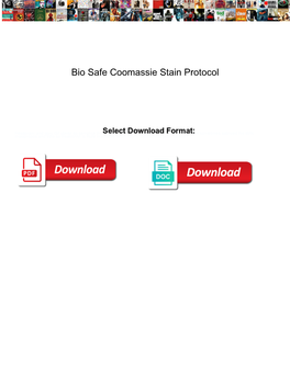 Bio Safe Coomassie Stain Protocol