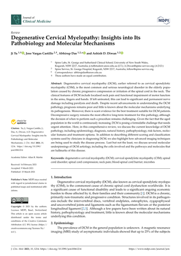 Degenerative Cervical Myelopathy: Insights Into Its Pathobiology and Molecular Mechanisms