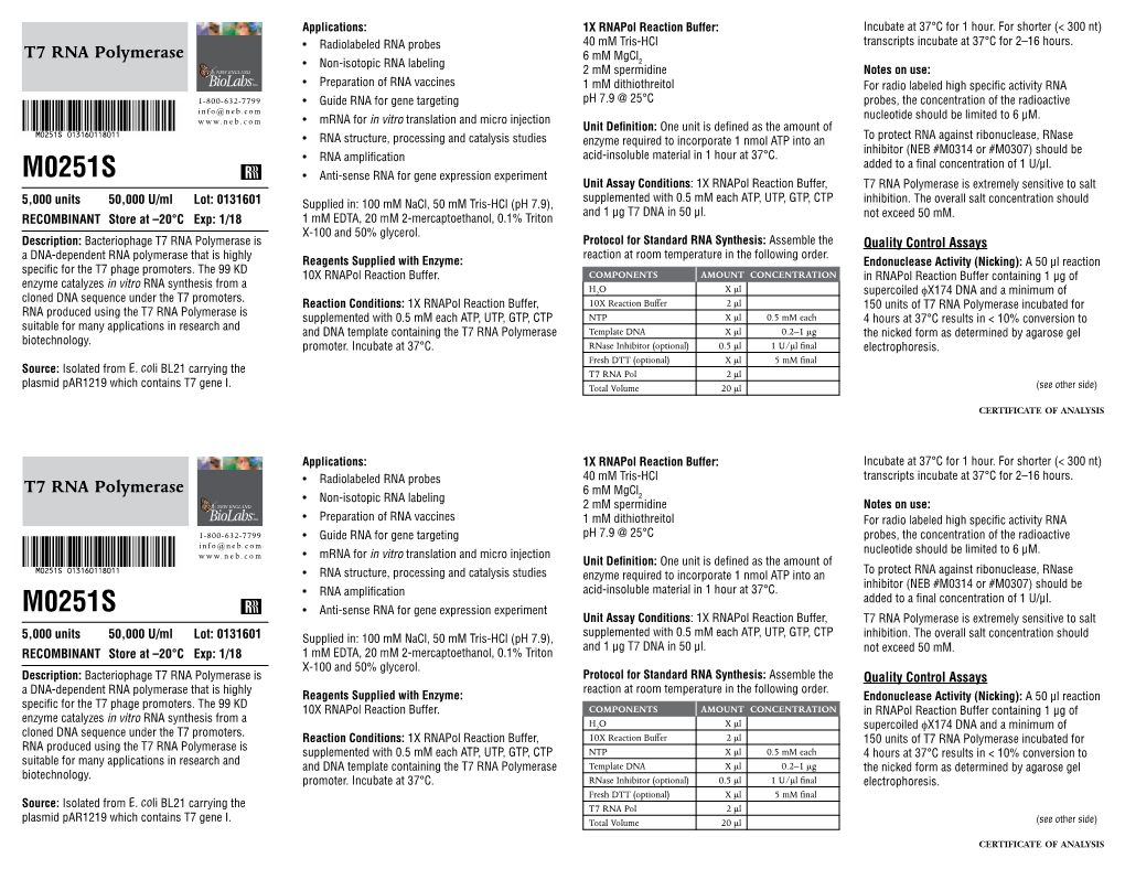 Datasheet for T7 RNA Polymerase