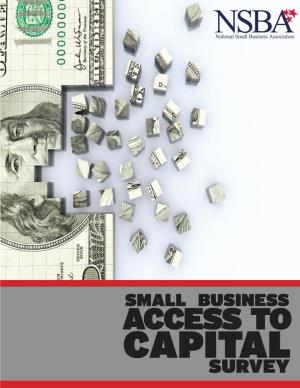 Small Business Access to Capital Survey Foreword