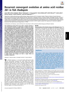 Recurrent Convergent Evolution at Amino Acid Residue 261 in Fish Rhodopsin