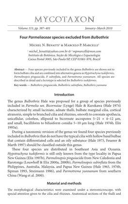 Four &lt;I&gt;Parmeliaceae&lt;/I&gt; Species Excluded from &lt;I&gt;Bulbothrix&lt;/I&gt;