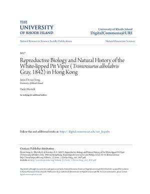 Reproductive Biology and Natural History of the White-Lipped Pit Viper (Trimeresurus Albolabris Gray, 1842) in Hong Kong Anne Devan-Song University of Rhode Island