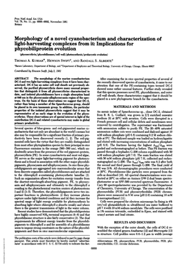 Phycobiliprotein Evolution (Phycoerythrin/Phycobilisomes/Cell Wall/Photosynthesis/Prokaryotic Evolution) THOMAS A
