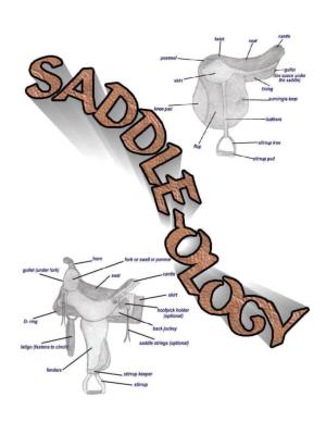 Saddleology (PDF)