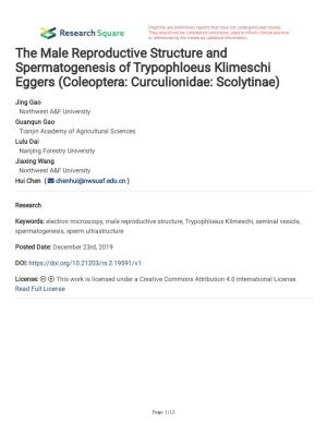 The Male Reproductive Structure and Spermatogenesis of Trypophloeus Klimeschi Eggers (Coleoptera: Curculionidae: Scolytinae)