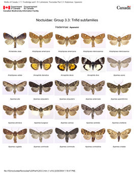JT Troubridge and JD Lafontaine: Noctuidae Part 3.3: Hadeninae