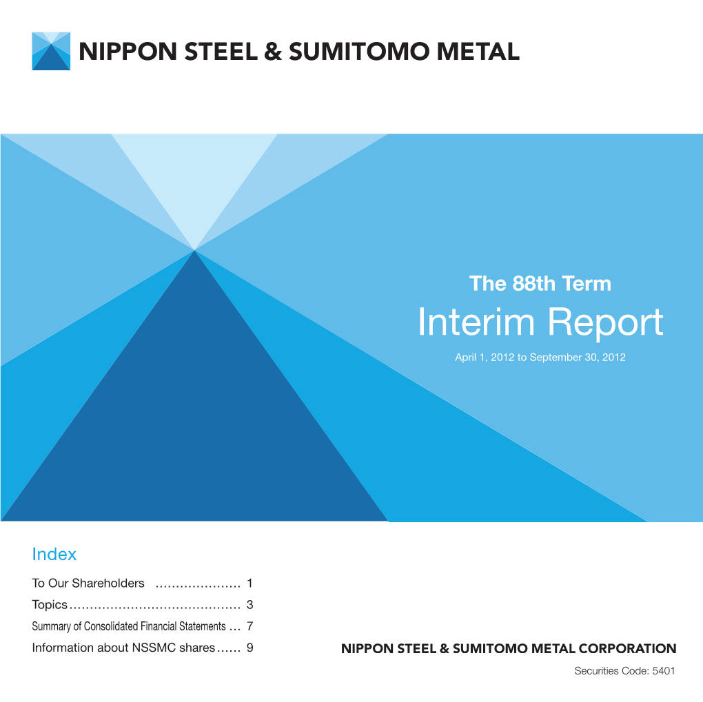 The 88Th Term Interim Report (PDF 519KB)