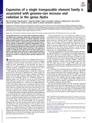 Expansion of a Single Transposable Element Family Is BRIEF REPORT Associated with Genome-Size Increase and Radiation in the Genus Hydra