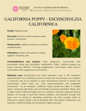 California Poppy - Eschscholzia Californica