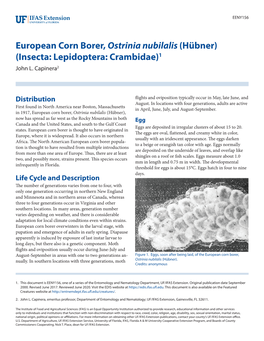 European Corn Borer, Ostrinia Nubilalis (Hübner) (Insecta: Lepidoptera: Crambidae)1 John L