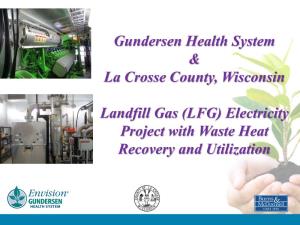 Landfill Gas (LFG) Electricity Project with Waste Heat Recovery and Utilization Project Organization