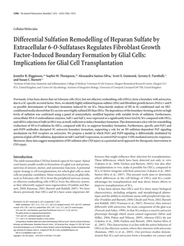 Differential Sulfation Remodelling of Heparan Sulfate by Extracellular 6