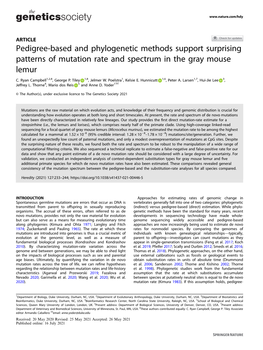 Pedigree-Based and Phylogenetic Methods Support Surprising Patterns of Mutation Rate and Spectrum in the Gray Mouse Lemur
