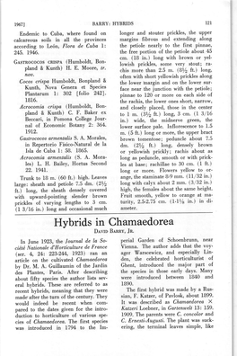 Hybrids in Chamaedorea D,Q,Vdbannv, Jn