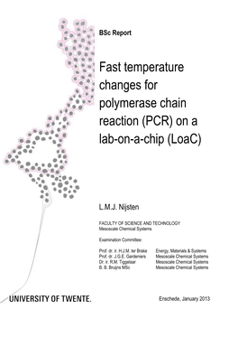 Fast Temperature Changes for Polymerase Chain Reaction (PCR) on a Lab-On-A-Chip (Loac)