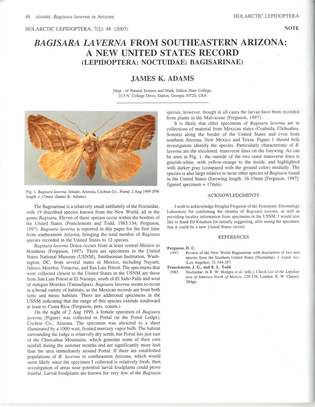 Bagisara Laverna from Southeastern Arizona: a New United States Record (Lepidoptera: Noctuidae: Bagisarinae)