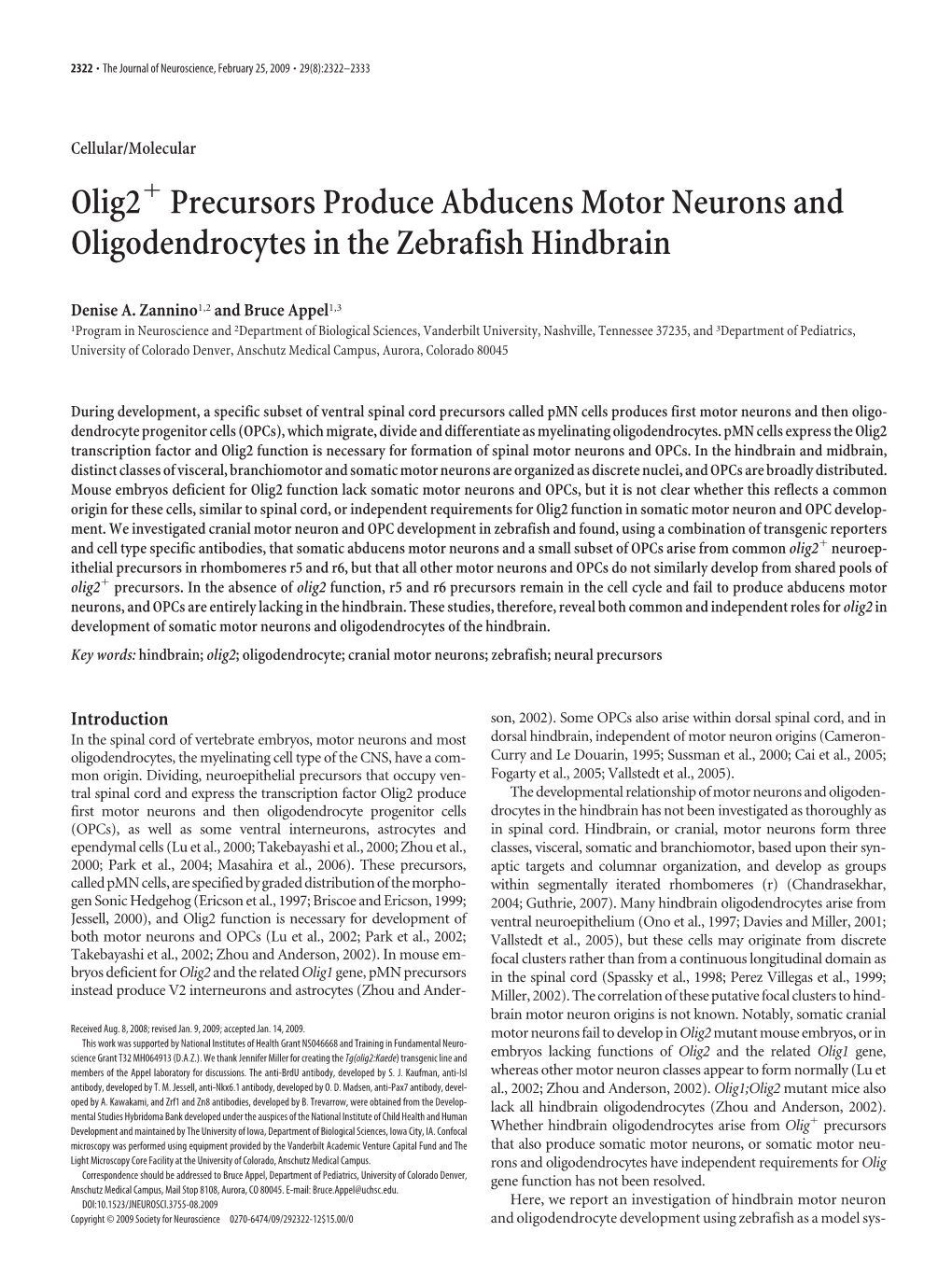 Olig2 Precursors Produce Abducens Motor Neurons and Oligodendrocytes in the Zebrafish Hindbrain