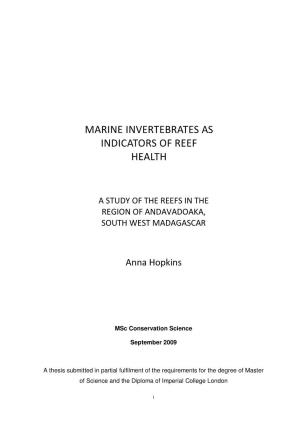 Marine Invertebrates As Indicators of Reef Health