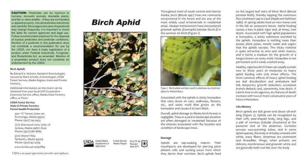 Birch Aphid Areas