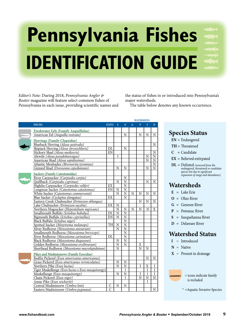 Pennsylvania Fishes IDENTIFICATION GUIDE DocsLib