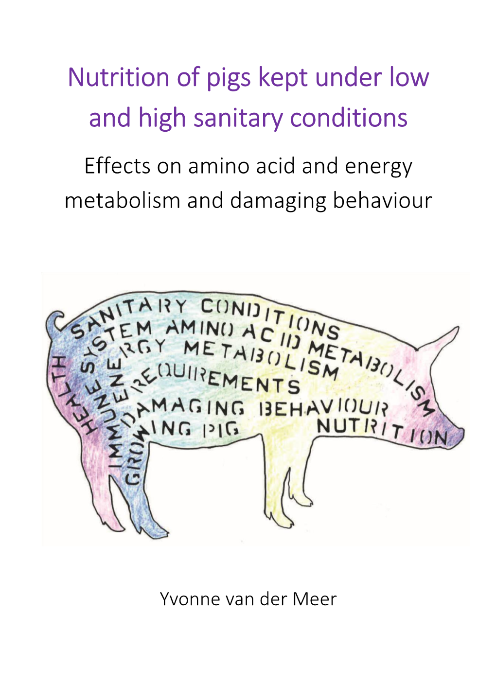 Nutrition of Pigs Kept Under Low and High Sanitary Conditions Effects on Amino Acid and Energy Metabolism and Damaging Behaviour