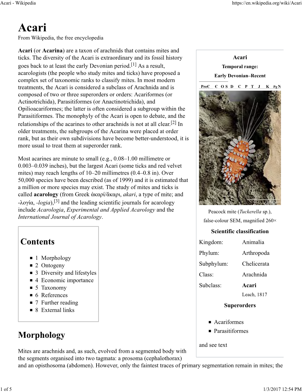 Acari Scientific Classification Kingdom