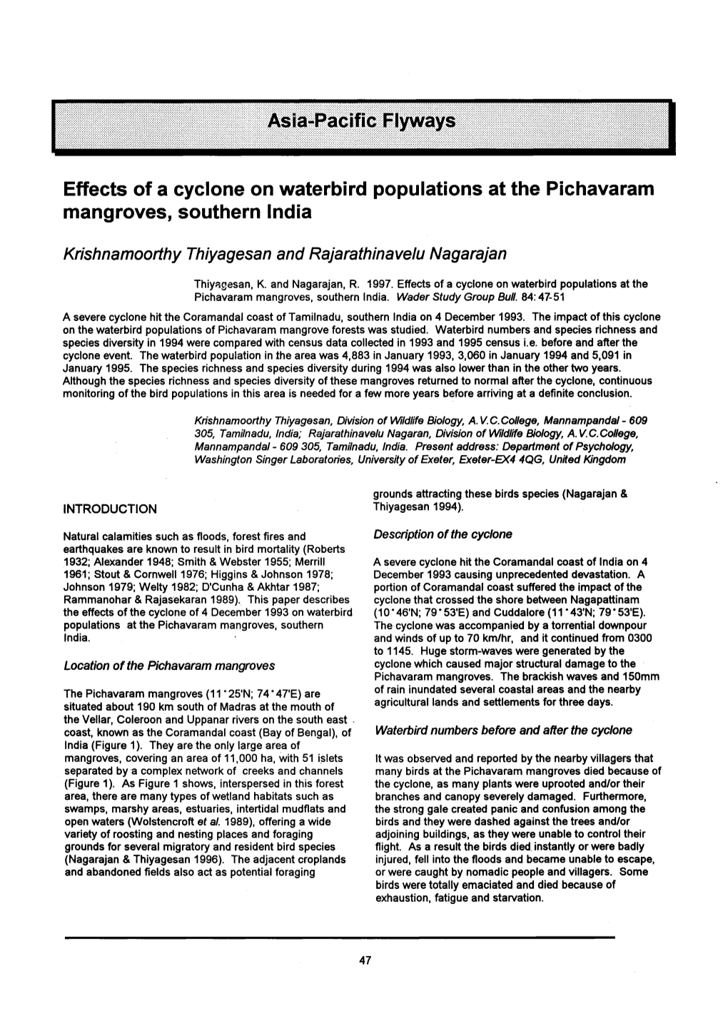 Effects of a Cyclone on Waterbird Populations at the Pichavaram Mangroves, Southern India
