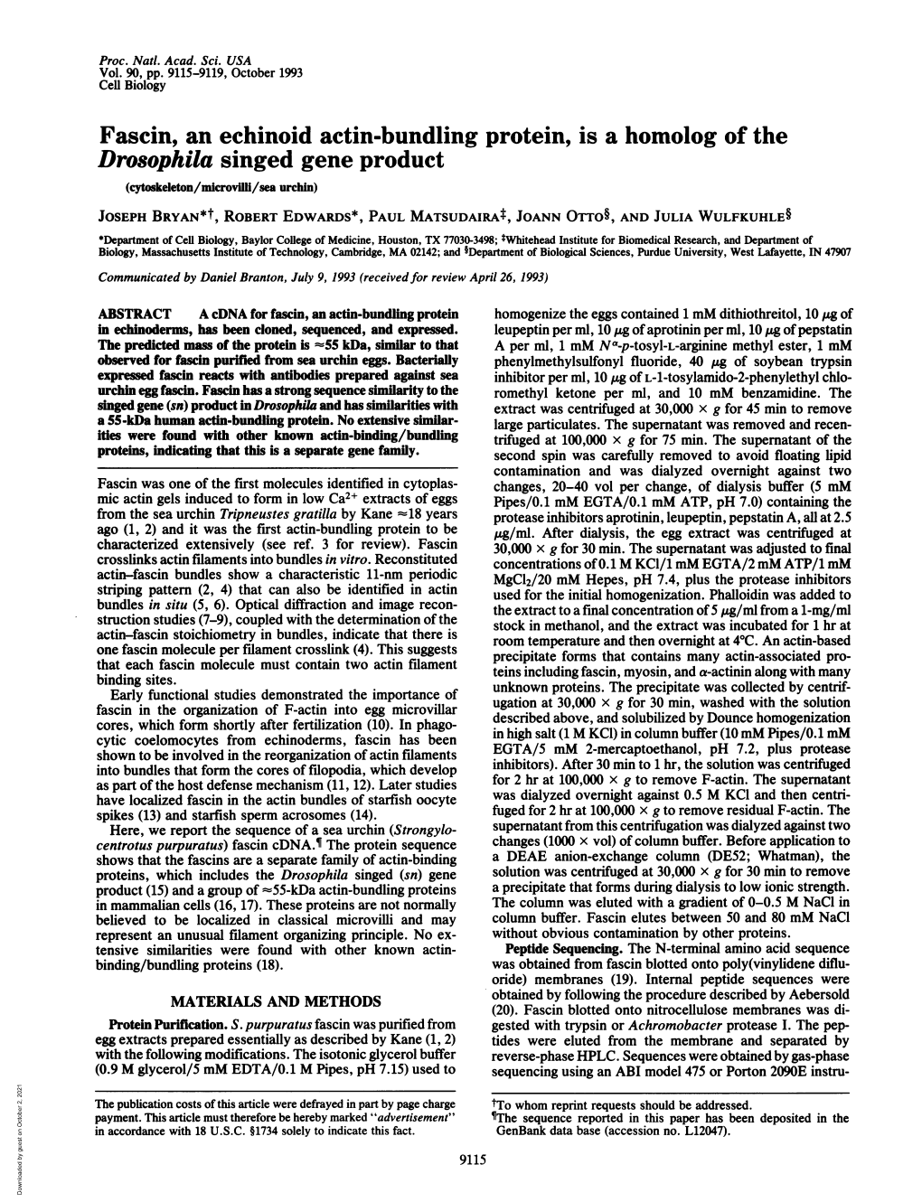 Fascin, an Echinoid Actin-Bundling Protein, Is a Homolog of The