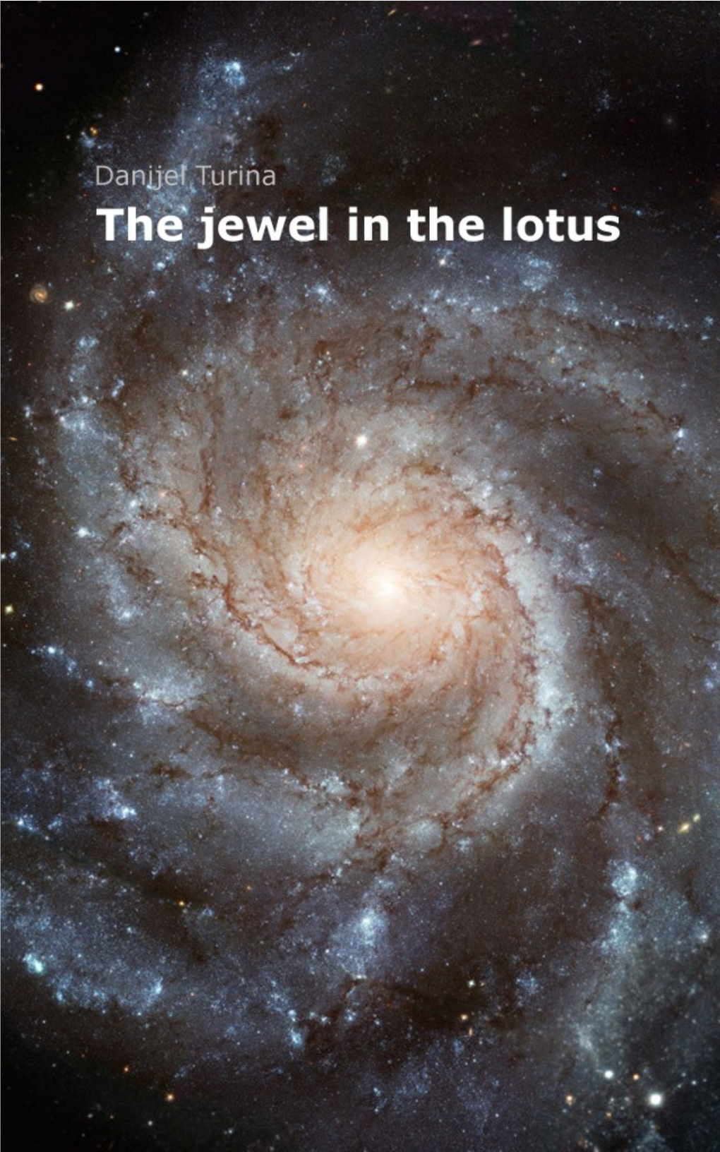 The Jewel in the Lotus