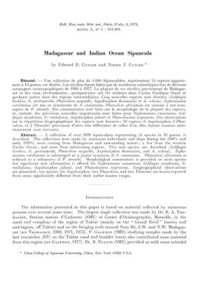 Madagascar and Indian Océan Sipuncula