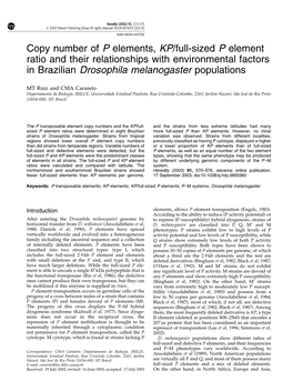 Copy Number of P Elements, KP/Full-Sized P Element Ratio and Their Relationships with Environmental Factors in Brazilian Drosophila Melanogaster Populations