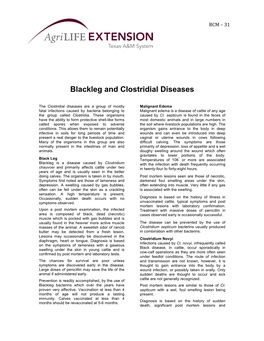 Blackleg and Clostridial Diseases
