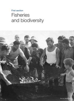 Fisheries and Biodiversity
