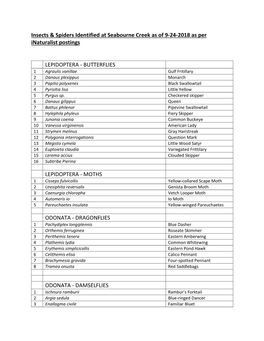 Seabourne Creek Insect and Spider List