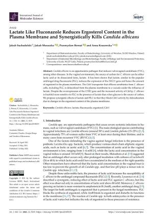 Lactate Like Fluconazole Reduces Ergosterol Content in the Plasma Membrane and Synergistically Kills Candida Albicans