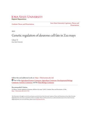 Genetic Regulation of Aleurone Cell Fate in Zea Mays Gibum Yi Iowa State University
