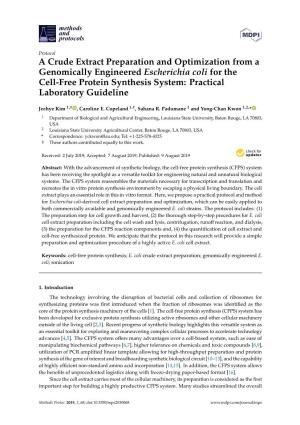 A Crude Extract Preparation and Optimization from a Genomically Engineered Escherichia Coli for the Cell-Free Protein Synthesis System: Practical Laboratory Guideline