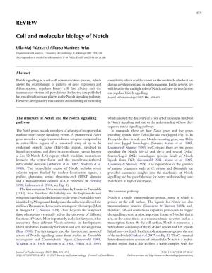 REVIEW Cell and Molecular Biology of Notch