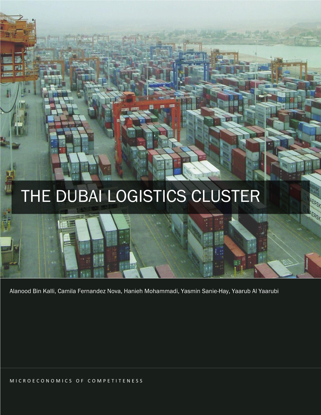 The Dubai Logistics Cluster