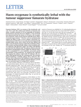 Haem Oxygenase Is Synthetically Lethal with the Tumour Suppressor Fumarate Hydratase