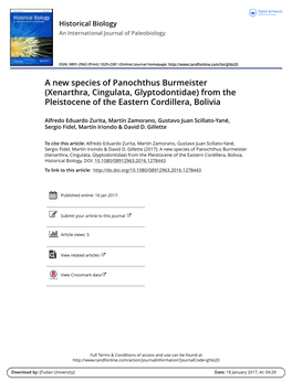 A New Species of Panochthus Burmeister (Xenarthra, Cingulata, Glyptodontidae) from the Pleistocene of the Eastern Cordillera, Bolivia