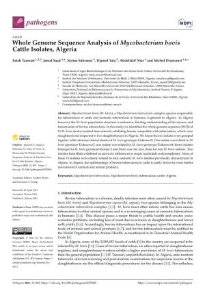 Whole Genome Sequence Analysis of Mycobacterium Bovis Cattle Isolates, Algeria