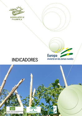 Anexo Indicadores EDL Valle Del Guadalhorce 2016-2020